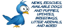 Sign Up for About Time News & Updates on Twitter!